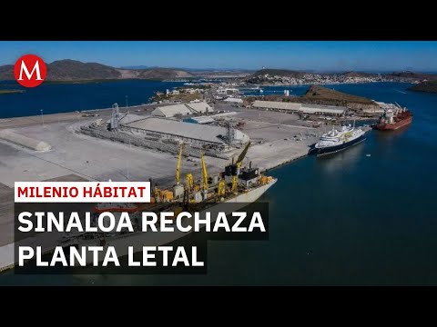 Sinaloa rechaza planta de amoniaco tras diálogo con gobierno | Milenio Hábitat thumbnail