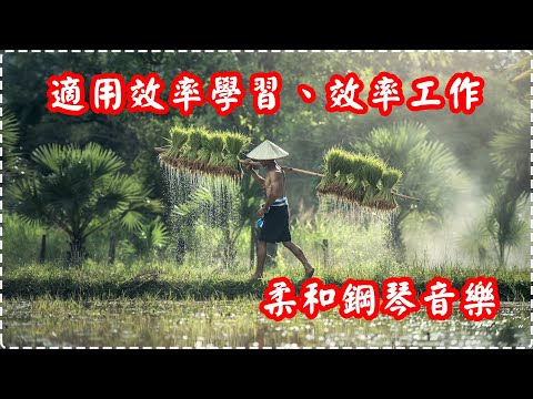 適用學習、工作、休息 柔和鋼琴音樂【1小時】 Soothing Music, Insomnia, Sleeping Music, Piano Music thumbnail