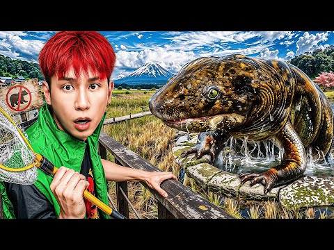 HI-END l สำรวจสัตว์แปลก "ทุ่งนาญี่ปุ่น" ตกดึกหมีภูเขาร้อง..หนีแทบไม่ทัน!! thumbnail