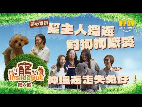 《寵物Inside Out》第六集預告 thumbnail
