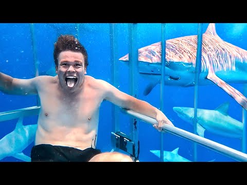 Trolling Sharks in Hawaii thumbnail