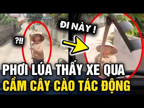 Công an LÀM VIỆC với người phơi lúa GIỮA ĐƯỜNG rồi cầm bồ cào TÁC ĐỘNG VẬT LÝ tài xế | Tin 3 Phút thumbnail