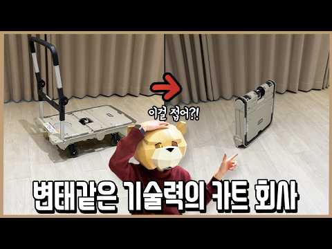 미친 기술력! 서류가방 사이즈로 접히는 대차 ㄷㄷㅣ내돈내산 thumbnail