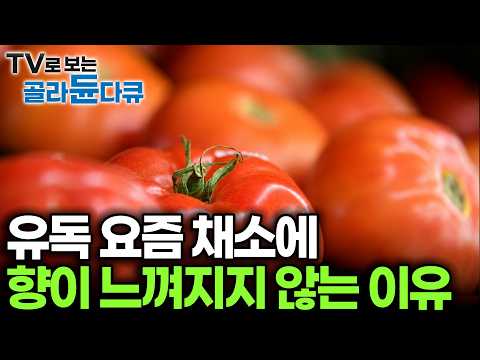 우리의 뇌를 속이고 만성 피로를 부르는 이것? 매일 건강식 먹어도 영양실조 걸리는 이유｜건강식의 함정｜다큐프라임｜#골라듄다큐 thumbnail