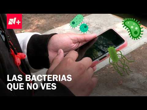 Las bacterias que cargas en tu celular y audífonos todos los días thumbnail