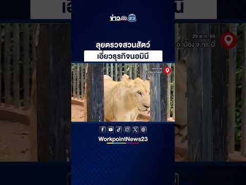 ลุยตรวจสวนสัตว์ เอี่ยวธุรกิจนอมินี thumbnail