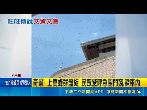 奇景! 上萬蜂群盤旋 民眾驚呼急關門窗.躲車內 上萬蜂群盤旋掀熱議 專家解謎:蜜蜂"分蜂"找新家｜記者 吳崑榆 張小媛 郭翊軒｜三立新聞LIVE thumbnail