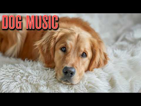 Soft Calming Music to Soothe Your Dog thumbnail