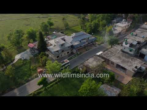 A scenic residential area in Kangra nestled within the lush landscapes of the Kangra Valley thumbnail