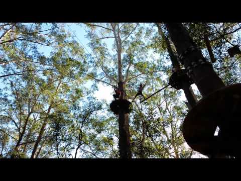 Treetop Adventure Park thumbnail