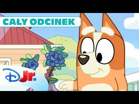 🌭 Relaks przy grillu | Blue | Disney Junior Polska thumbnail