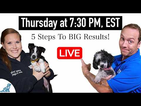 Are You Accidentally Being A BAD Leader For Your Dog? thumbnail