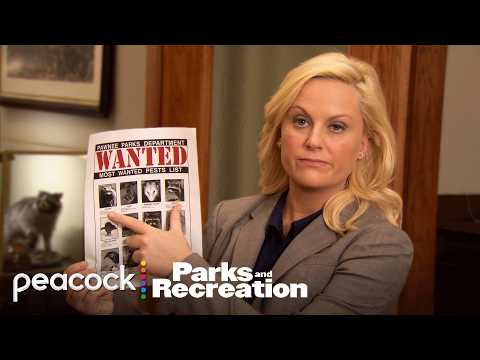 Raccoons TERRORIZING Pawnee for 9 minutes Straight | Parks and Recreation thumbnail