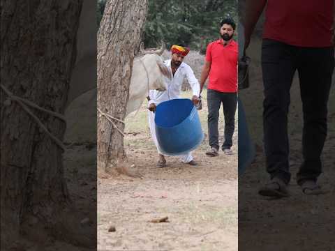 छाछ की लड़ाई 🥰😝🤪, marvadi comedy, rajasthani comedy, Haryanvi comedy, comedy video, comedy comedy thumbnail