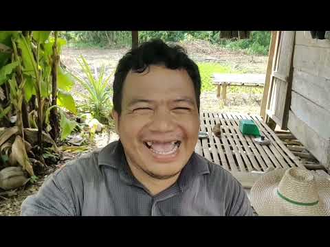 Crita Bidayuh-(Nasib) thumbnail