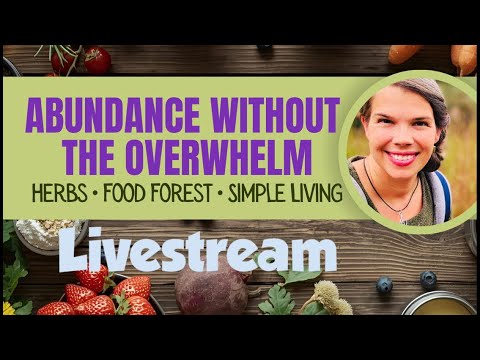 Live! Is it Time to Plant the Seedlings? thumbnail