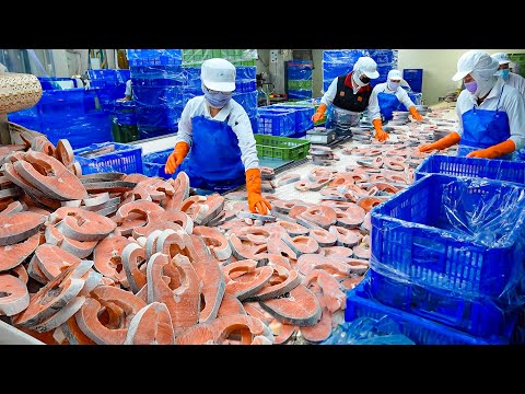 Salmon Cutting Processing Plant & Butter Salmon Pilaf Making / 鮭魚菲力, 奶油鮭魚炊飯 - Food Factory thumbnail