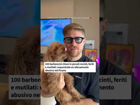CENTINAIA DI CANI MALTRATTATI E IN CONDIZIONI DISUMANE! (QUESTA COSA È STRAZIANTE) 💔 thumbnail