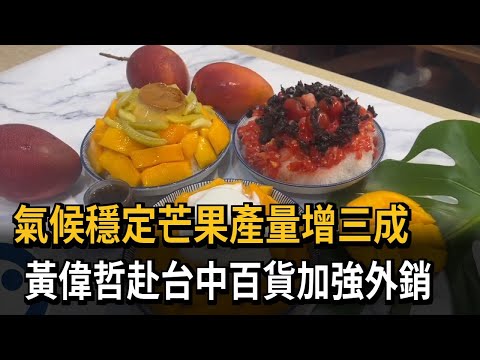 氣候穩定芒果產量暴增 黃偉哲赴台中加強外銷－民視新聞 thumbnail