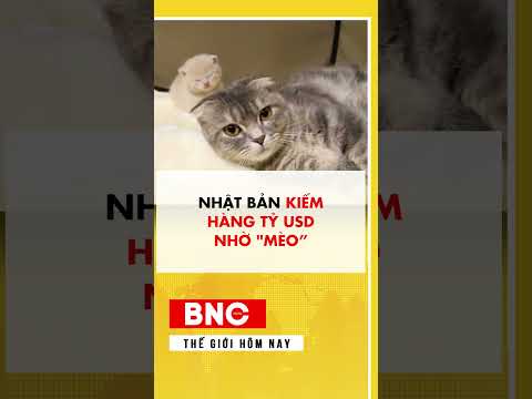 Nhật Bản kiếm hàng tỷ USD nhờ mèo thumbnail