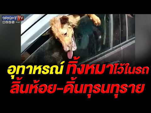 นาทีชีวิต! หมาถูกทิ้งไว้ในรถ นานนับชั่วโมง ชาวบ้านทนไม่ไหว งัดรถช่วยชีวิต thumbnail