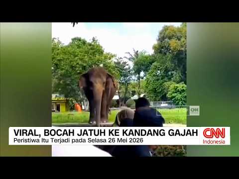 Bocah Jatuh ke Kandang Gajah hingga Odong-odong Terguling thumbnail
