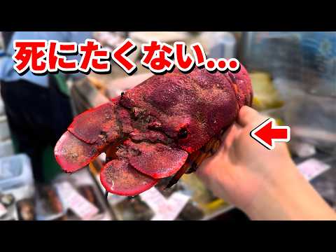 スーパーに売れ残っていた化け物を飼育してみると… thumbnail