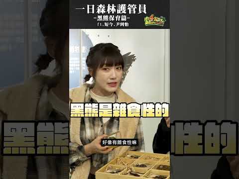 泱泱是臺灣黑熊黃金獵人？你認的出熊熊便便嗎？ #泱泱 #短今  #尹到怡 #一日系列 thumbnail