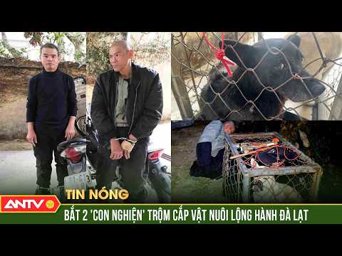 Bắt nhóm trộm cắp vật nuôi lộng hành ở trung tâm Đà Lạt | ANTV thumbnail