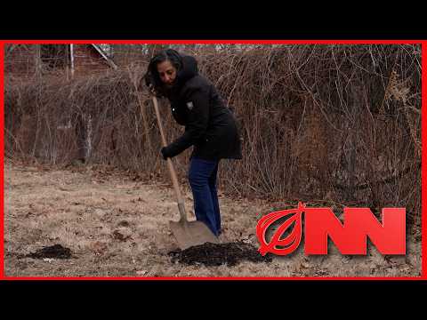 Doctors Say Digging Own Grave Keeps Bones Healthy After Menopause thumbnail