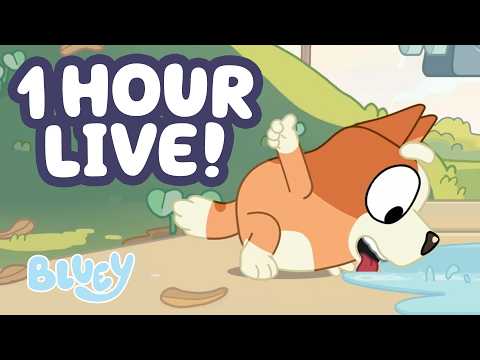 🔴LIVE: Nice Work, Bingo! 👍 😆 | 60 MINUTES of Bluey Fun Moments 💙 | Bluey thumbnail