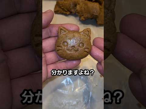 キャットフードのアレンジレシピ / Delicious Ways to Enjoy Cat Food thumbnail