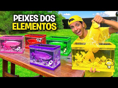 FIZ OS AQUÁRIOS DOS ELEMENTOS *Os Rosa gostaram ? thumbnail