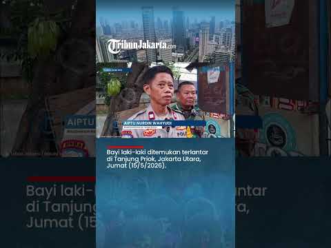 Bayi Laki-laki Ditemukan Terlantar dan Dikerubungi Semut di Tanjung Priok thumbnail