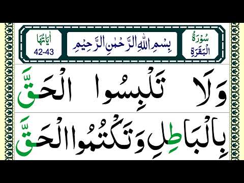 Learn to Read Al Baqarah Surah 42-43 Easily | Surat Baqarah word by word with Tajweed | قرآن سیکھیں thumbnail
