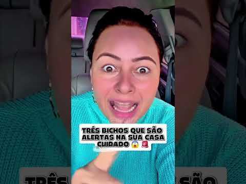tome cuidado se esse animal APARECER NA SUA CASA! #curiosidades #fy #viral #dracscuriosidades thumbnail