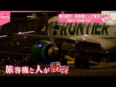 【アメリカ】機内騒然…旅客機と人が衝突  離陸中に滑走路に侵入『世界のミダシ』 thumbnail