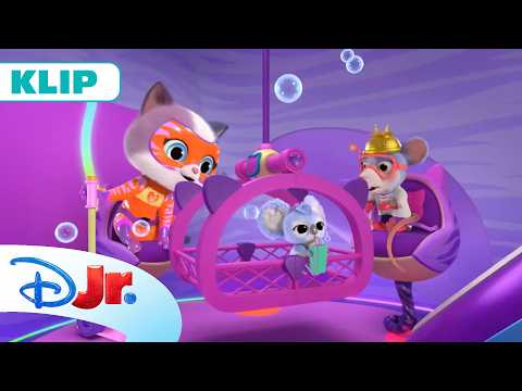 🦑 Poszukiwania Olka | SuperKoty | Disney Junior Polska thumbnail