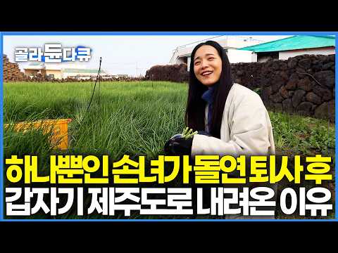 "그 좋은 선생님을 왜 관둬서.." 이제 걱정할 거리 없겠다 싶었던 번듯한 직장 둔 손녀가 하루아침에 때려치고 제주도 내려온지도 벌써 4년｜한국기행｜#골라듄다큐 thumbnail