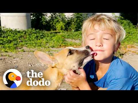 5-Year-Old Boy Insists On Rescuing Abandoned Puppies | The Dodo thumbnail