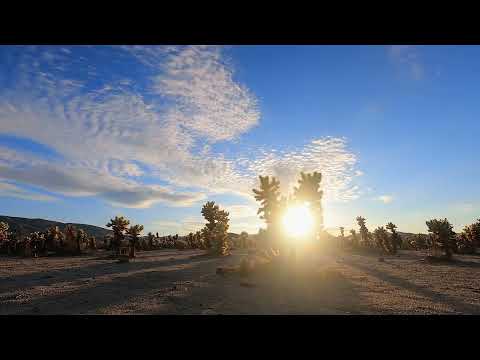 Best of Arabic deep house - Mystic Desert X-BASS thumbnail