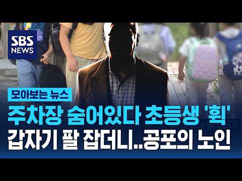 계속되는 '유괴 미수 사건'..우리 아이들이 위험하다 / SBS / 모아보는 뉴스 thumbnail