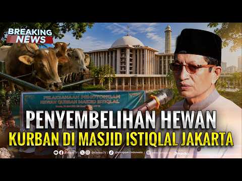 🔴LIVE - Menag Nasaruddin Umar Update Penyembelihan Hewan Kurban di Masjid Istiqlal Jakarta thumbnail