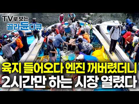 “물길 열려야 들어갈 수 있어요” 포구 앞에서 대기하던 배들이 문 열리자마자 싼값에 자연산 고기 쏟아내는 수상한 선상 시장의 비밀｜한국기행｜#골라듄다큐 thumbnail