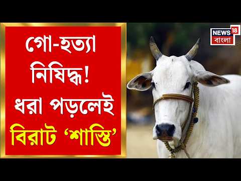 West Bengal News | গরু-মোষ হত্যা নিয়ে কড়া নির্দেশিকা রাজ্যের! সরকারি নির্দেশ অমান্য করলেই যা হবে | thumbnail