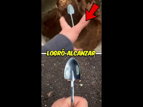 Con una cuchara logró alcanzar 3 millones de seguidores en 10 días. thumbnail