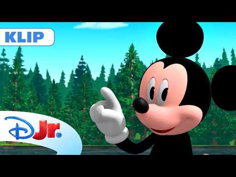 🛶 Obóz nad jeziorem | Klub Przyjaciół Myszki Miki+ | Disney Junior Polska thumbnail