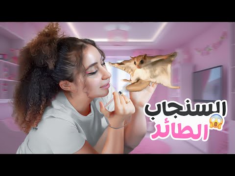 حيوان غريب عملتلو بيت 😆 thumbnail