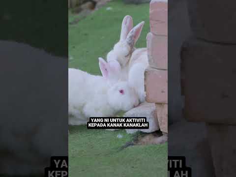 Aktiviti Family Wajib Singgah Dekat Sini! thumbnail