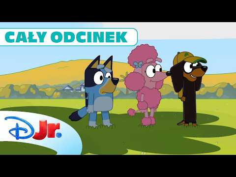🌴⬛ Zabawa w cieniu | Blue | Disney Junior Polska thumbnail
